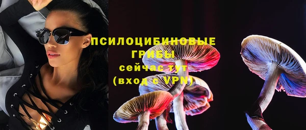 мет Абаза