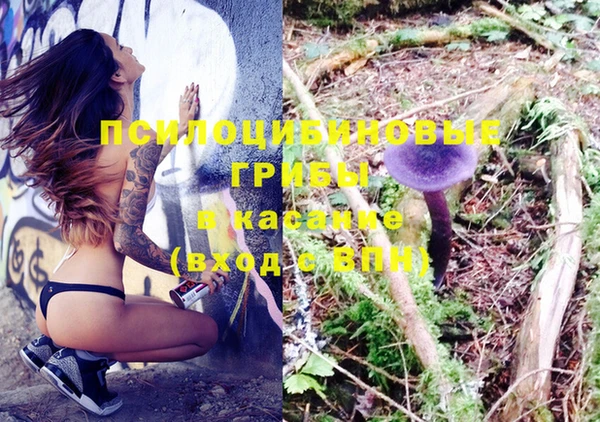 2c-b Алзамай
