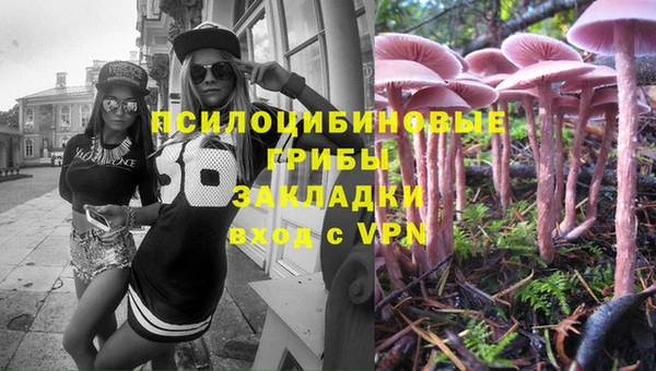 2c-b Алзамай