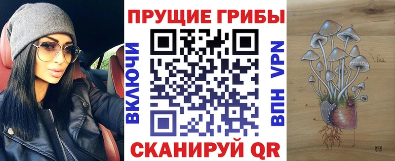 хочу наркоту  Королёв  ссылка на мегу маркетплейс  Псилоцибиновые грибы прущие грибы 